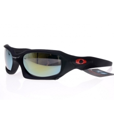 Oakley Glasses-0195