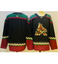 Men's Arizona Coyotes Blank Black Stitched Jersey