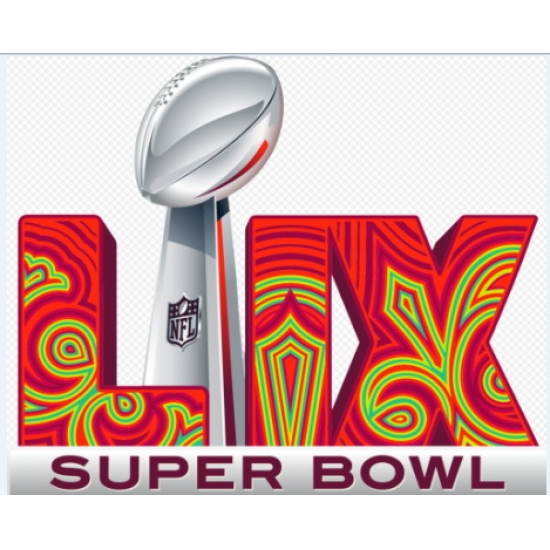 2024 2025 NFL Super Bowl Patch Biaog